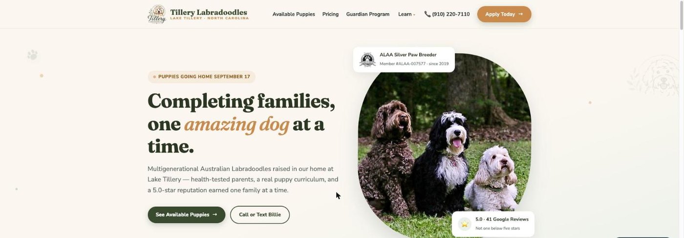 Tillery Labradoodles website, designed and built by Mooresville Marketing
